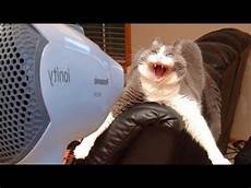Dryers