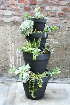 Pot